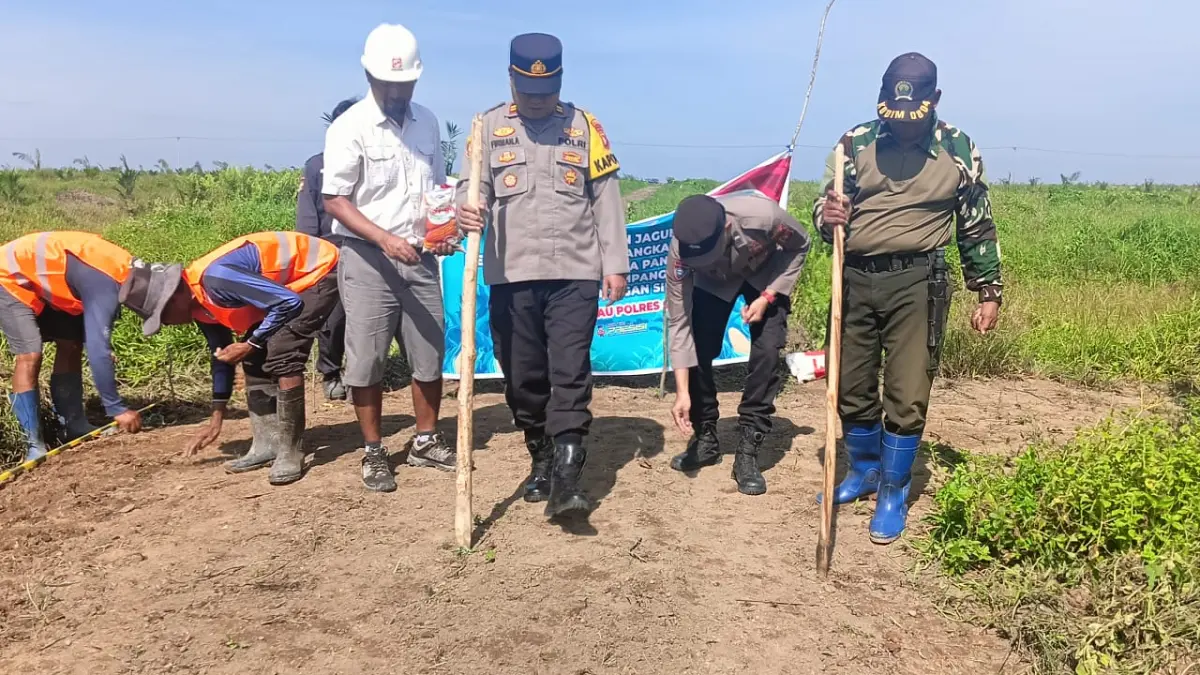 Aktivitas menanam jagung tumpang sari di lahan seluas 31 hektare di Desa Derangga, Kecamatan Hanau, Kabupaten Seruyan, Sabtu (18/4/2026). 