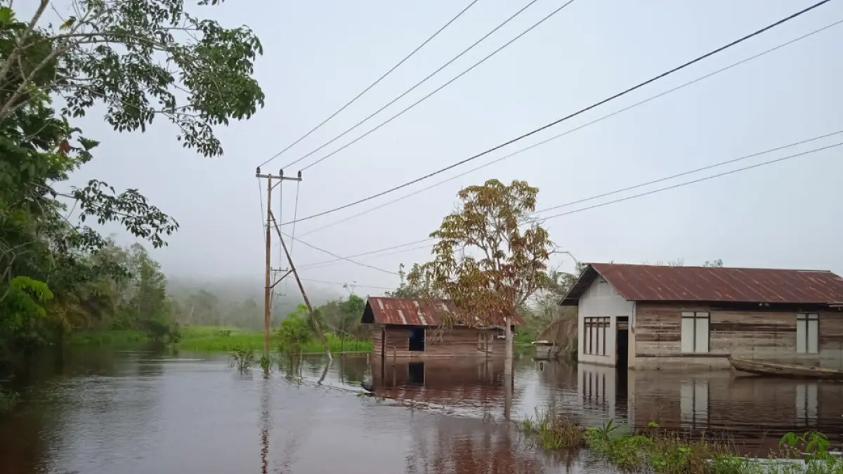 Banjir kembali melanda Desa Sei Ubar Mandiri, Kecamatan Cempaga Hulu. Kali ini, genangan air merendam seluruh rukun tetangga (RT) di wilayah tersebut. (warga/radar sampit)