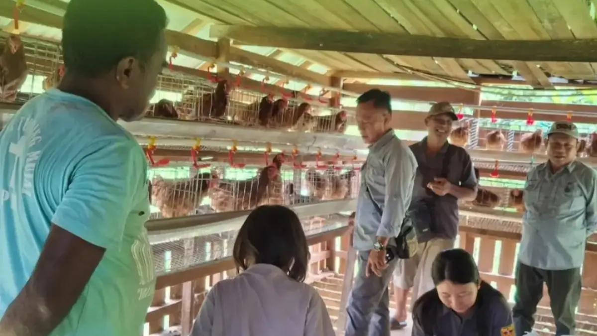Pegawai Dinas Pertanian Kabupaten Gumas ketika meninjau lokasi kandang ayam petelur, yang dikelola BUMDes Desa Tumbang Mujai, Kecamatan Rungan Hulu, pekan lalu. 