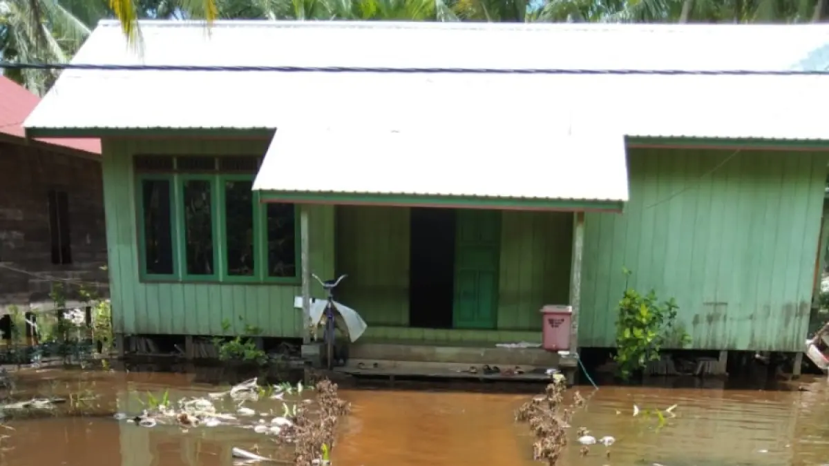 Kondisi banjir di wilayah Desa Bapinang Hilir, Kecamatan Pualau Hanaut, Kabupaten Kotawaringin Timur, Jumat (24/4/2026). (Camat Pulau Hanaut)