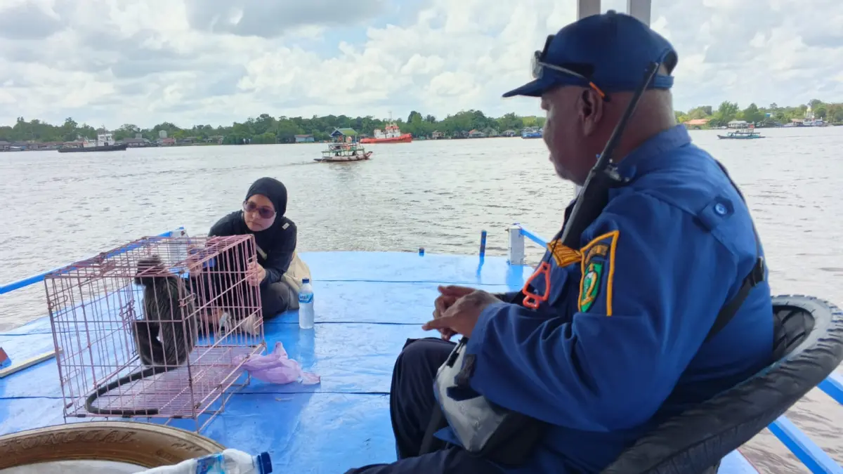 Petugas BKSDA dan Disdamkarmat Kotim saat akan melepealiarkan lutung tersebut ke wilayah Mentaya Seberang Kecamatan Seranau, Jumat (Disdamkarmat Kotim)&nbsp;