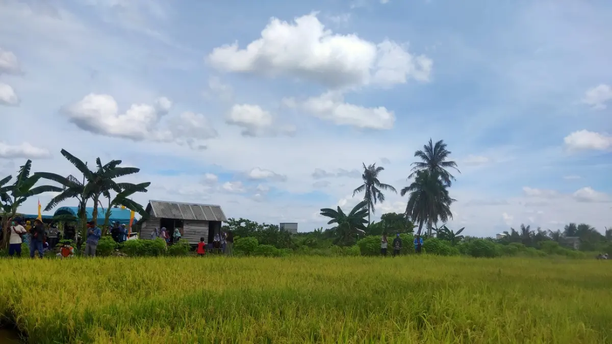 Sawah pertanian di wilayah Teruntum Desa Sungai Pasir menjadi andalan pemasok beras di Sukamara.&nbsp;(fauziannur/radar sampit)