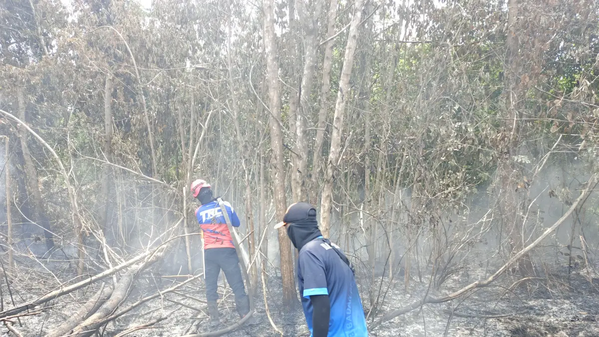 Kebakaran lahan di Kotim beberapa waktu lalu. (Dok. BPBD Kotim)&nbsp;