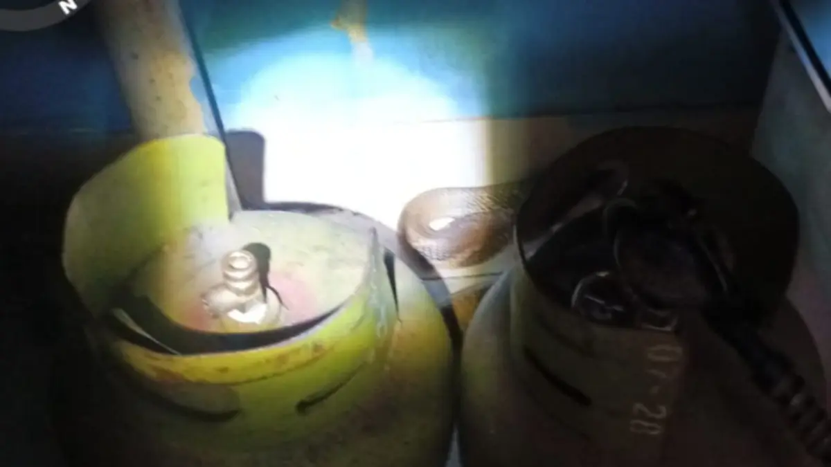 Ular king kobra berada di sela tabung gas dalam rumah warga di Jalan BumiRaya, Kecamatan Baamang, Senin (27/4/2026). (Disdamkarmat Kotim)&nbsp;