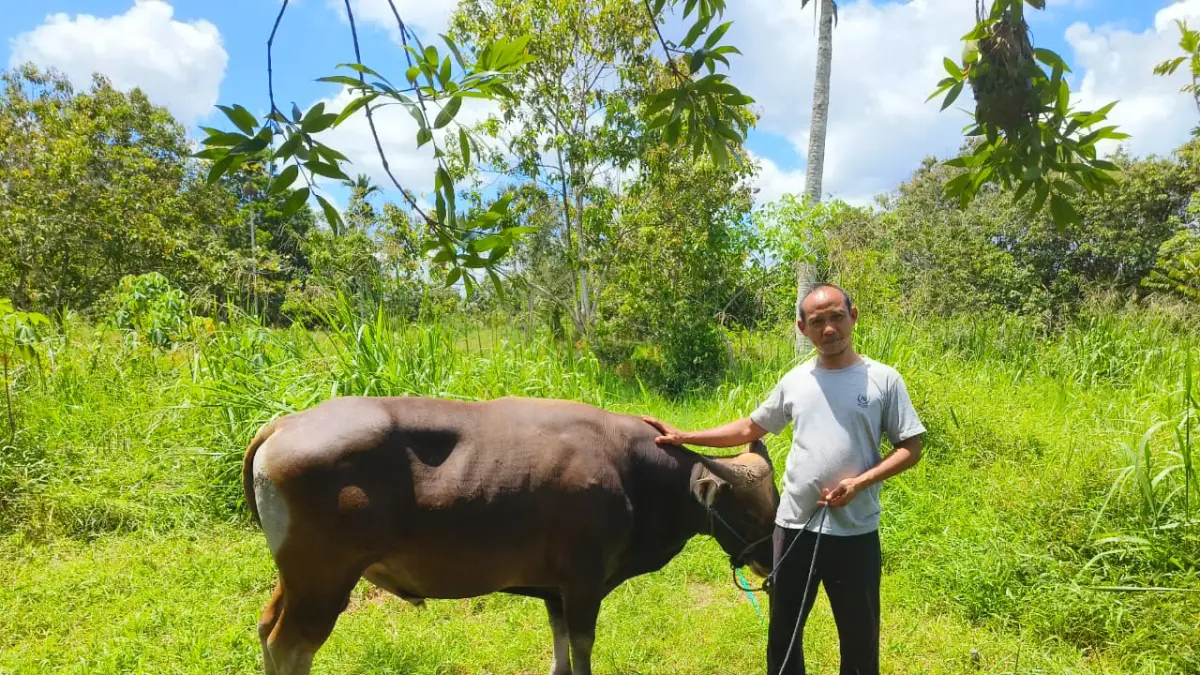Pedagang hewan kurban di Sampit, Daeng Beta.  (Akbar/Radar Sampit)