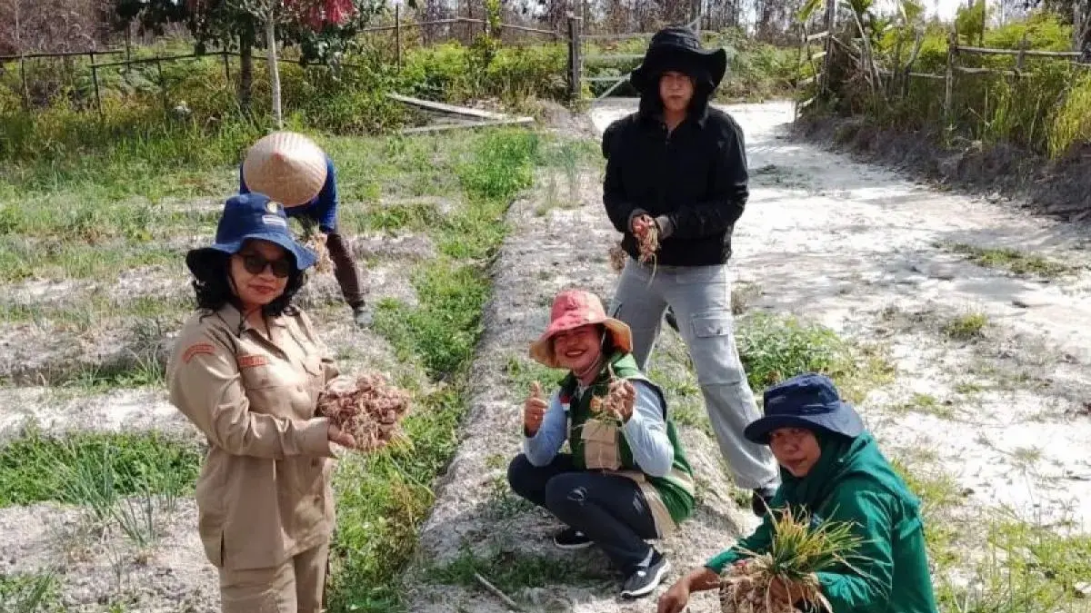 Petani Poktan Manawau Makmur ketika melakukan panen bawang merah di Desa Tanjung Riu, Kecamatan Kurun, Selasa (28/4). (FOTO: POKTAN MANAWAU MAKMUR) 