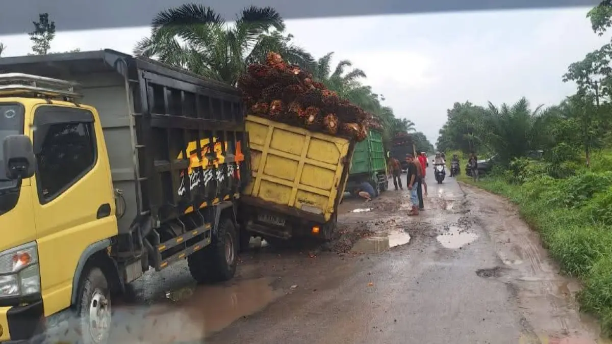 Truk muatan buah segar kelapa sawit di jalan lintas Tatas - Bungur, Kelurahan Baru, Kecamatan Arsel, Kabupaten Kotawaringin Barat, belum lama ini. (ist)