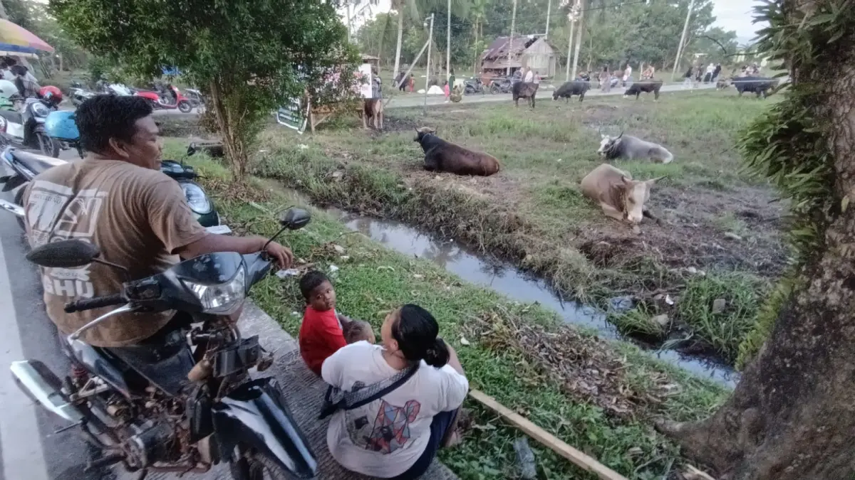 Lapak Hewan Kurban di Sampit Diserbu Warga, Anak-Anak Anggap Seperti Wisata Edukasi Dadakan