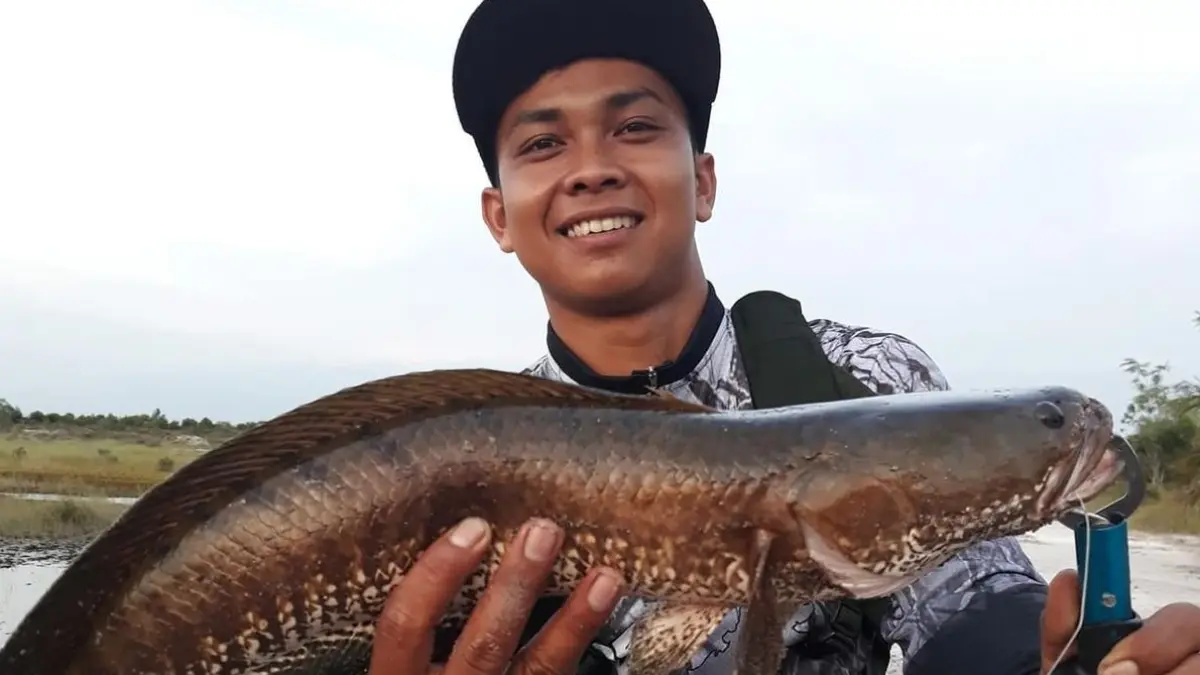 Nanang, salah satu angler di Kotim dengan hasil tangkapannya, ketika cuaca dan debit air sungai mendukung.(dok.pribadi)