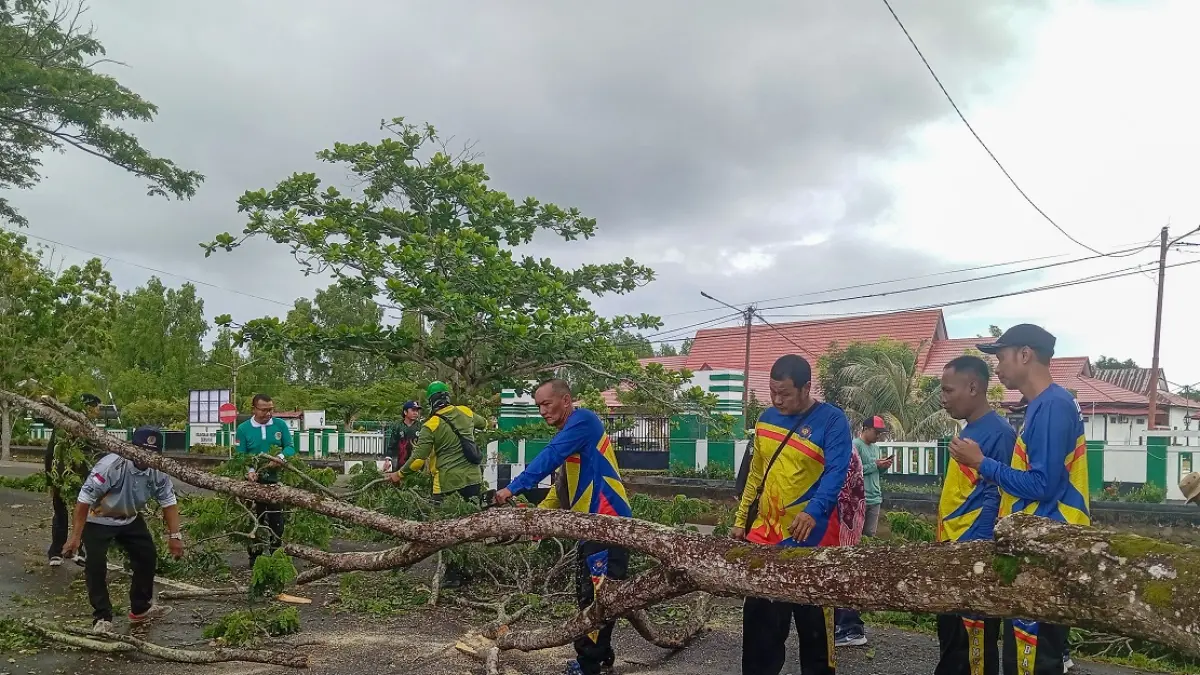 Pemerintah Kabupaten Seruyan melakukan penebangan dan pemangkasan pohon rawan tumbang di sejumlah ruas jalan utama Kota Kuala Pembuang, Sabtu (9/5/2026). (rifani/radar sampit)