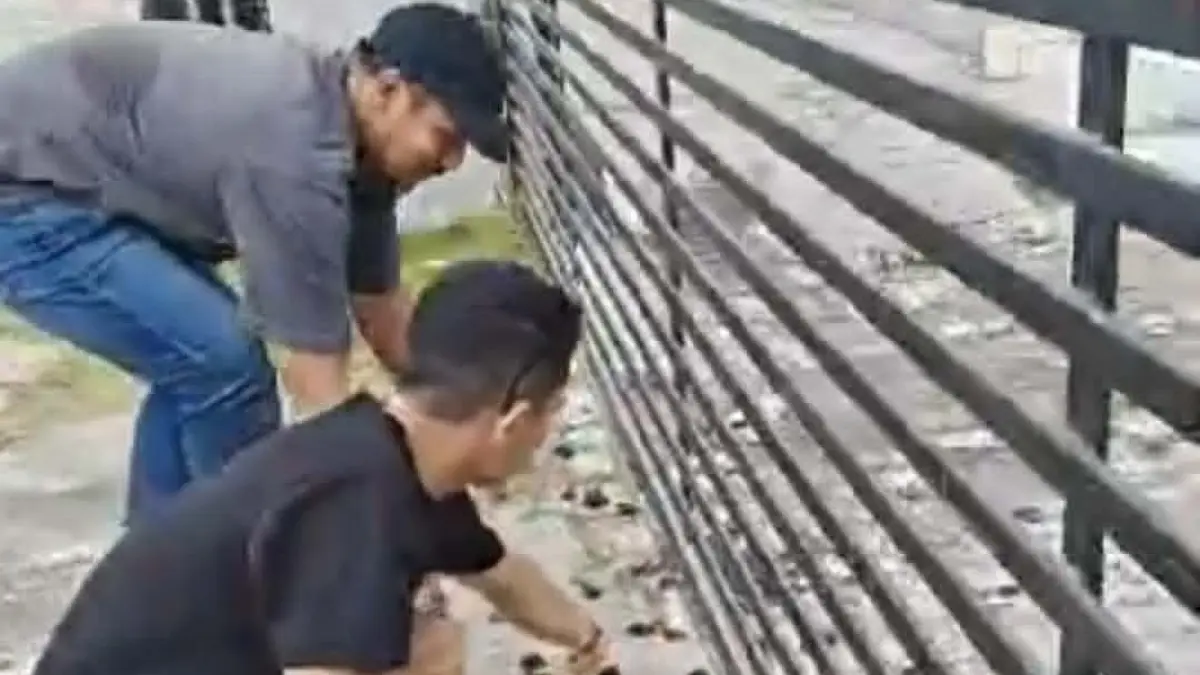 Aksi melepaskan ratusan kodok hidup di halaman kantor Pertamina Patra Niaga Regional Kalimantan sebagai simbol protes terhadap pernyataan pihak terkait yang dinilai berubah-ubah soal kondisi stok BBM, oleh sekelompok warga. (istimewa)