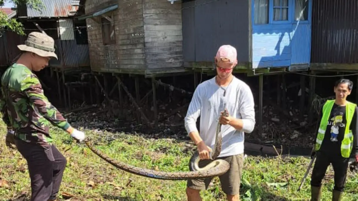 Bule dari Norwegia turut dalam aksi pembersihan lingkungan di Sungai Keramat, Kecamatan Baamang, dan tampak girang ketika menemukan seekor ular di sela sampah dan endapan sungai. (Harry/Radar Sampit)&nbsp;