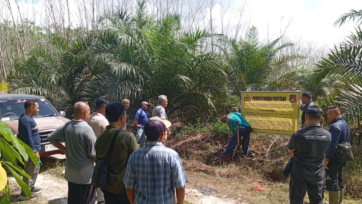 Polsek Pangkalan Banteng lakukan pemasangan plang tanda penyitaan lahan kebun kelapa sawit seluas 4,5 hektare di aeral kebun PTPN IV Regional V di Dusun Semanggang, Kecamatan Pangkalan Banteng pada Kamis (7/5/2026) lalu. (Istimewa/Sinar Bintang Aritonang)