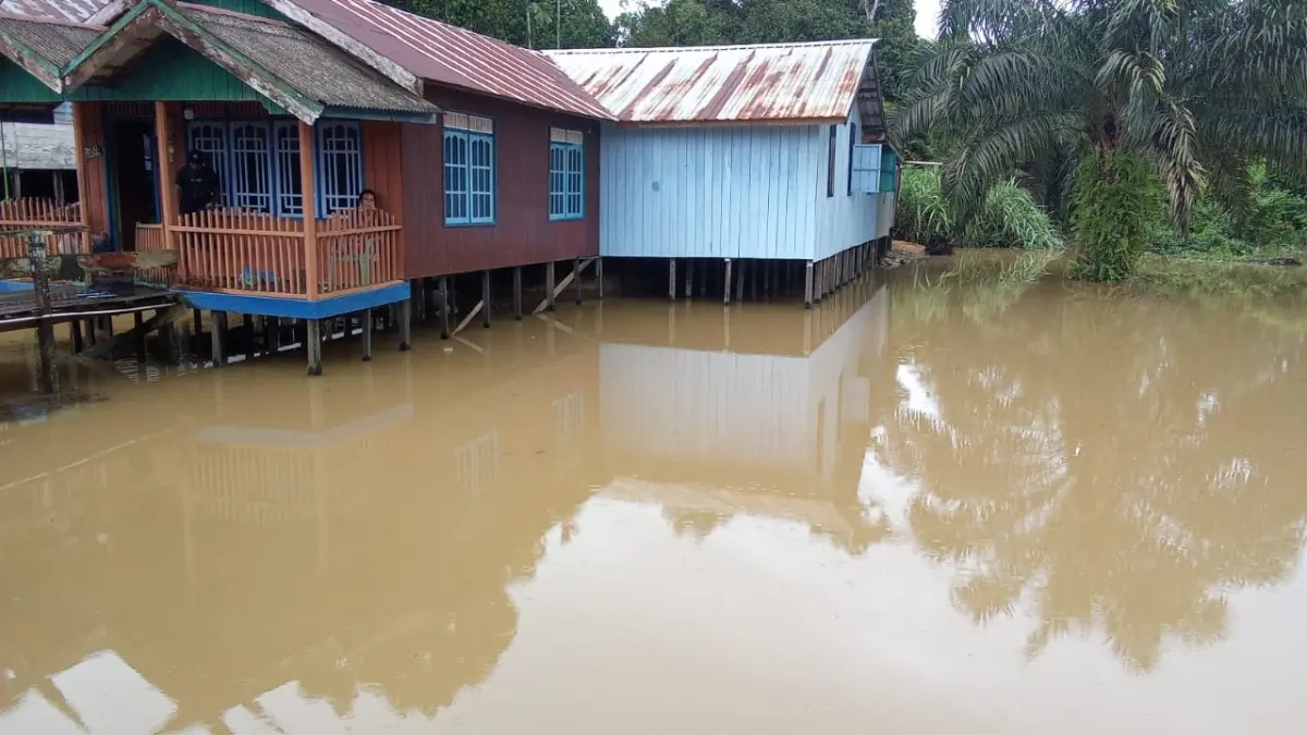 Luapan Sungai Arut di Kelurahan Pangkut, Kecamatan Arut Utara, Kabupaten Kotawaringin Barat, Selasa 12 Mei 2026. (ist)&nbsp;
