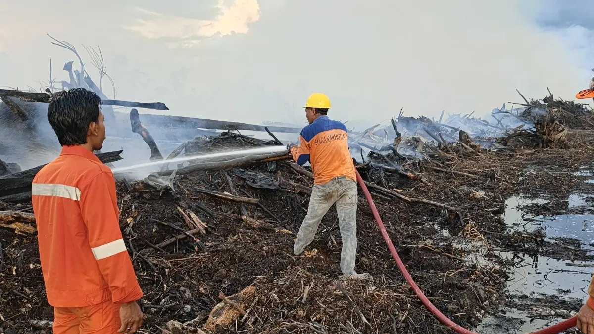 Personel BPBD Kotawaringin Barat menangani kebakaran lahan di Jalan Ahmad Shaleh kilometer 24, Kelurahan Raja Seberang, Kecamatan Arut Selatan, Kabupaten Kotawaringin Barat, Senin 11 Mei 2026 sore. (ist)&nbsp;