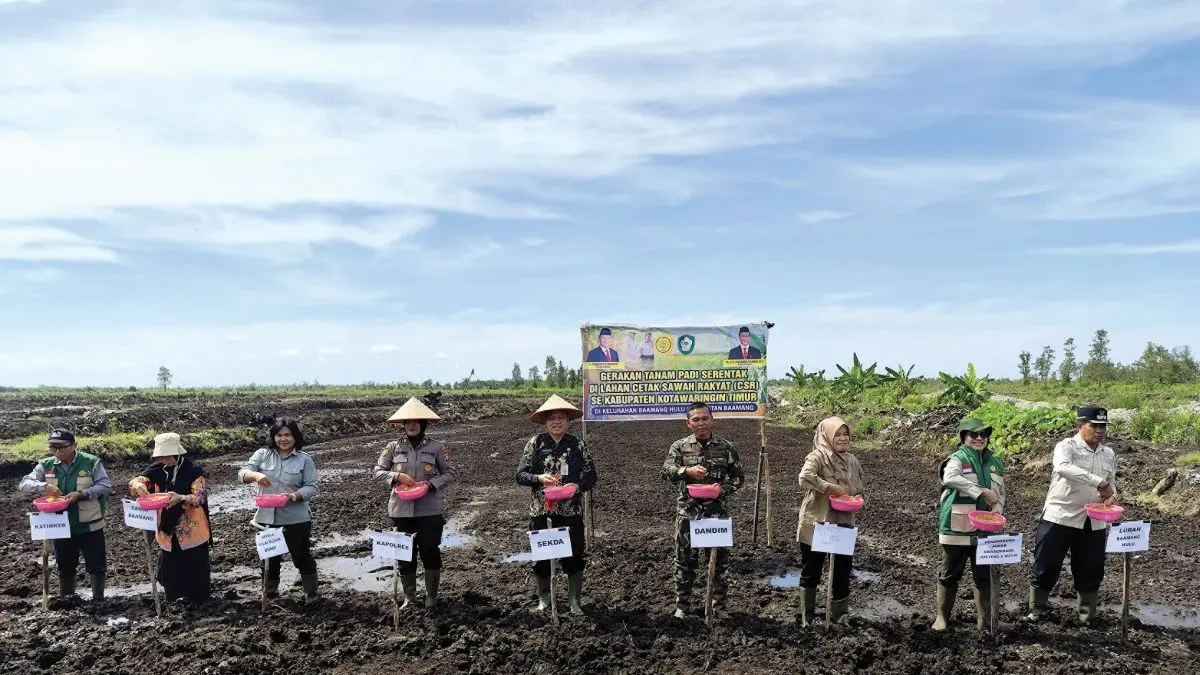 PERTANIAN: Gerakan tanam padi serentak digelar di lokasi Cetak Sawah Rakyat (CSR) Kelurahan Baamang Hulu, Jalan Jenderal Sudirman Km 15, Sampit, awal April 2026 lalu. FOTO: Dok. YUNI/RADAR SAMPIT 