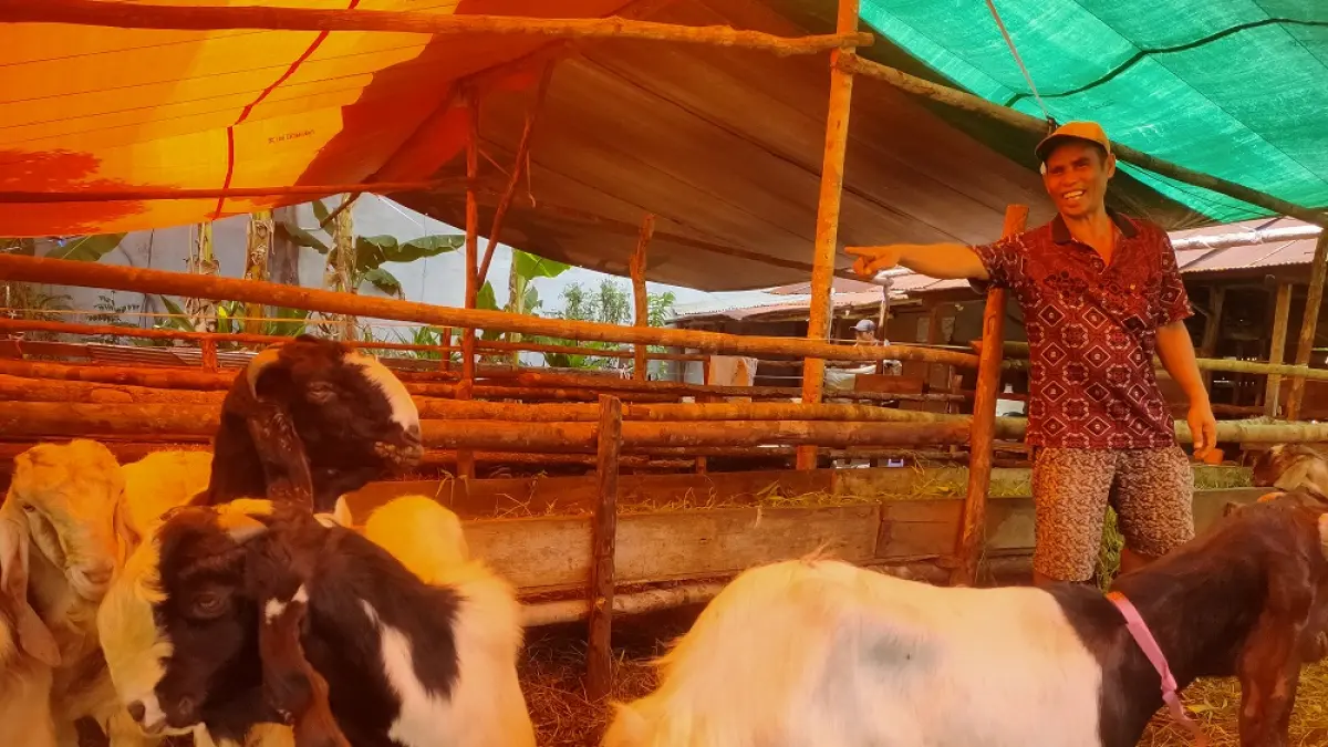 Salah satu penjual hewan untuk kurban, yang ada di Sampit. (yuni/radarsampit)