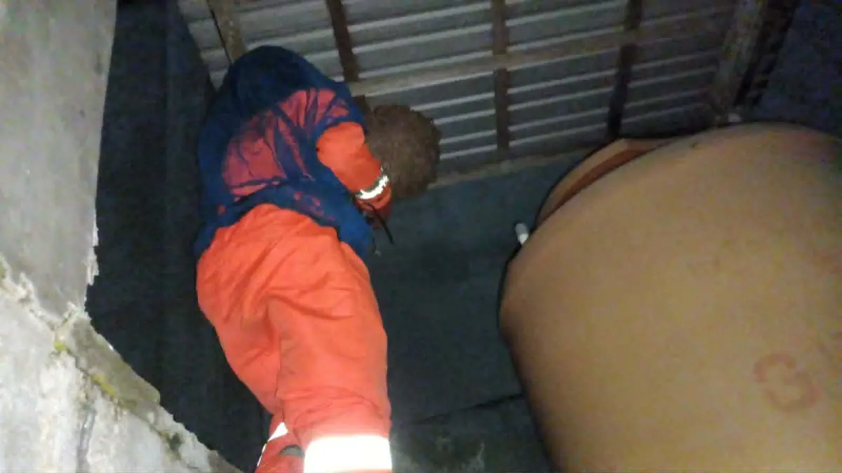 Tim Rescue BPK Kamboja Palangka Raya mengevakuasi sarang tawon vespa di dekat tower penampungan air setinggi sekitar 9 meter di kawasan Jalan Temanggung Tilung, Senin(18/5) malam.(istimewa)