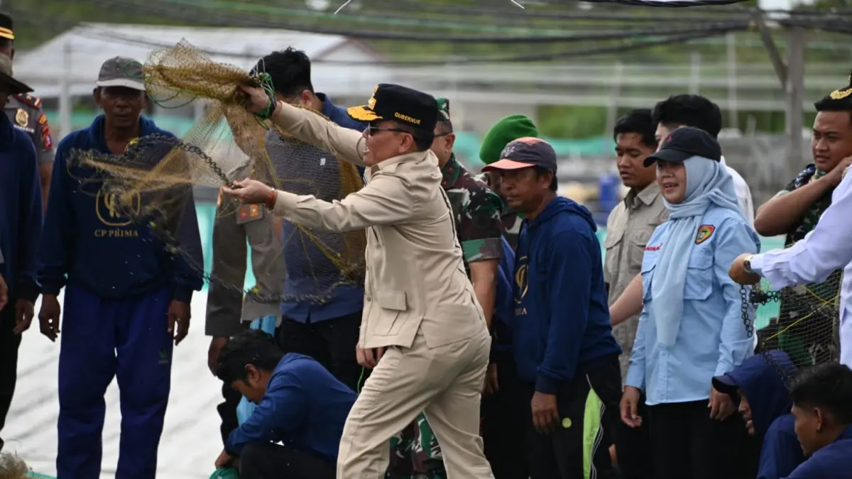 Gubernur Kalimantan Tengah (Kalteng) Agustiar Sabran melakukan panen udang dan tabur benih atau benur udang Vaname di kawasan Shrimp Estate