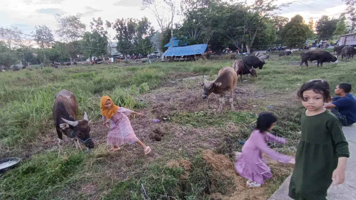 Penjualan di salah satu lapak hewan kurban di Sampit. (Dok.Usay Nor Rahmad/Radar Sampit)&nbsp;