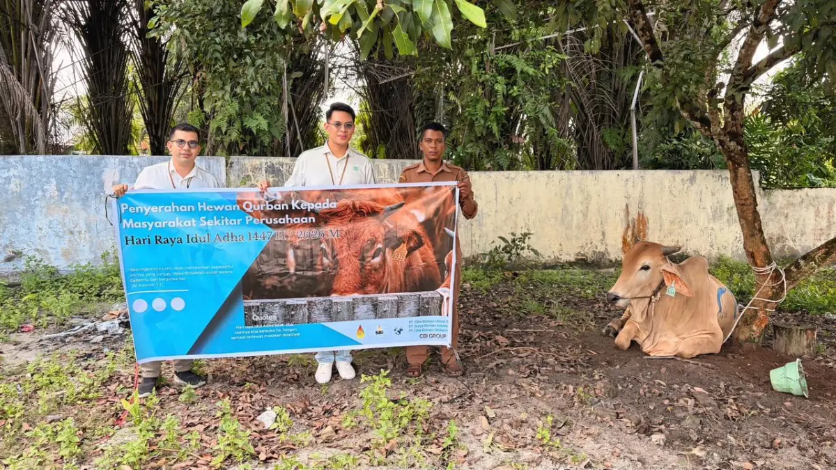 PT Citra Borneo Utama Tbk kembali menyalurkan bantuan hewan kurban kepada masyarakat di sekitar kawasan industri perusahaan