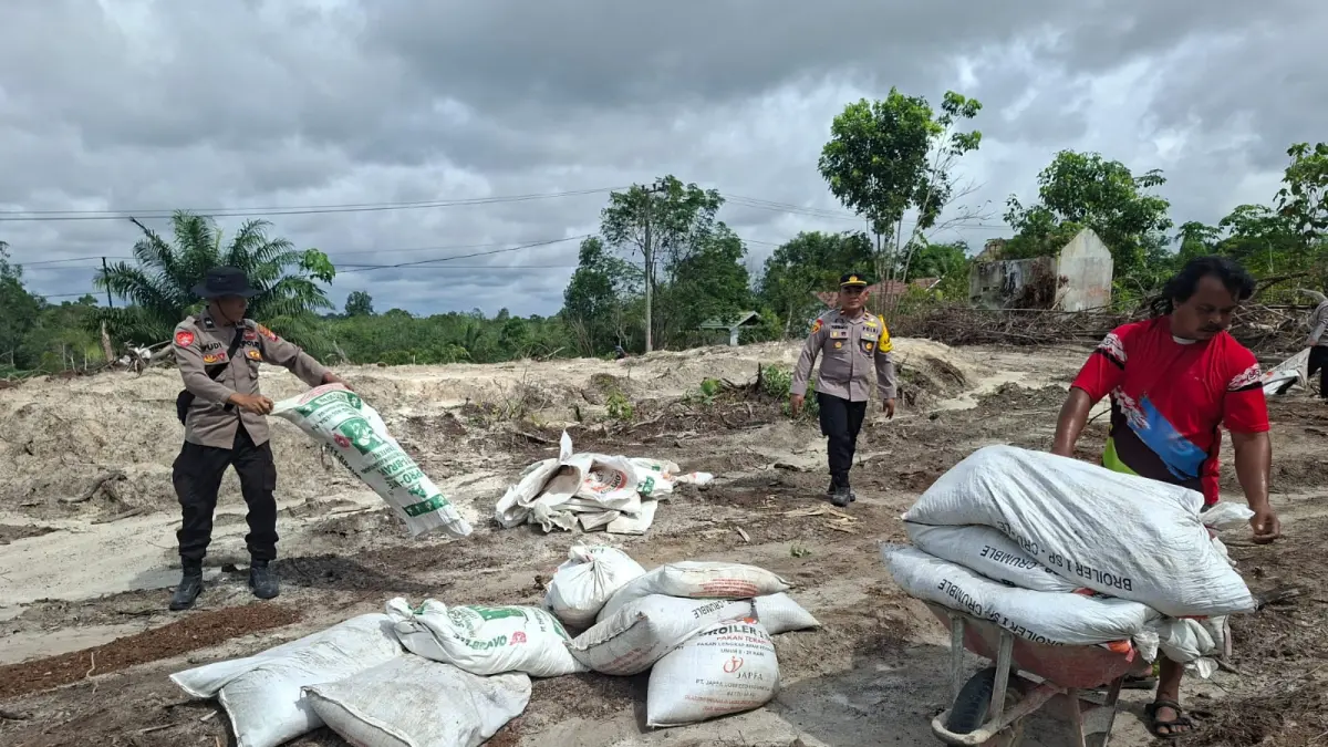 TEBAR : Suasana penebaran pupuk kandang untuk ditanami jagung, pada lahan milik warga di Desa Tampelas, Kecamatan Sepang, Senin (25/5). (POLSEK SEPANG FOR RADAR SAMPIT)
