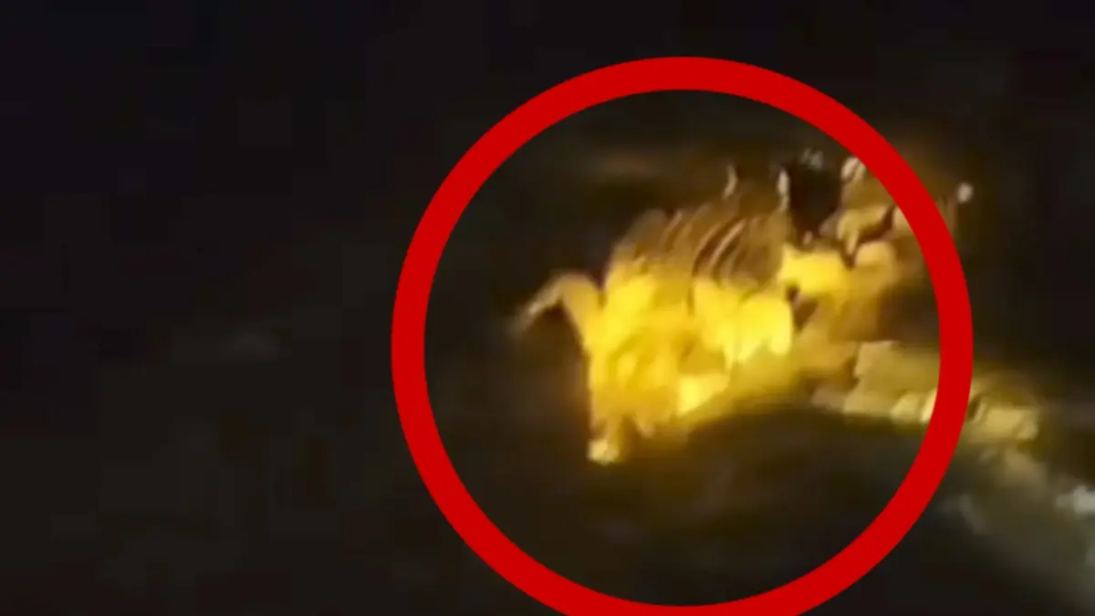Buaya sepanjang 4 Meter muncul di perairan Sungai Mentaya, Desa Bagendang Hilir, Kecamatan Mentaya Hilir Utara, Kabupaten Kotawaringin Timur, Jumat malam (29/5 /2026). (Warga/Radar Sampit)&nbsp;