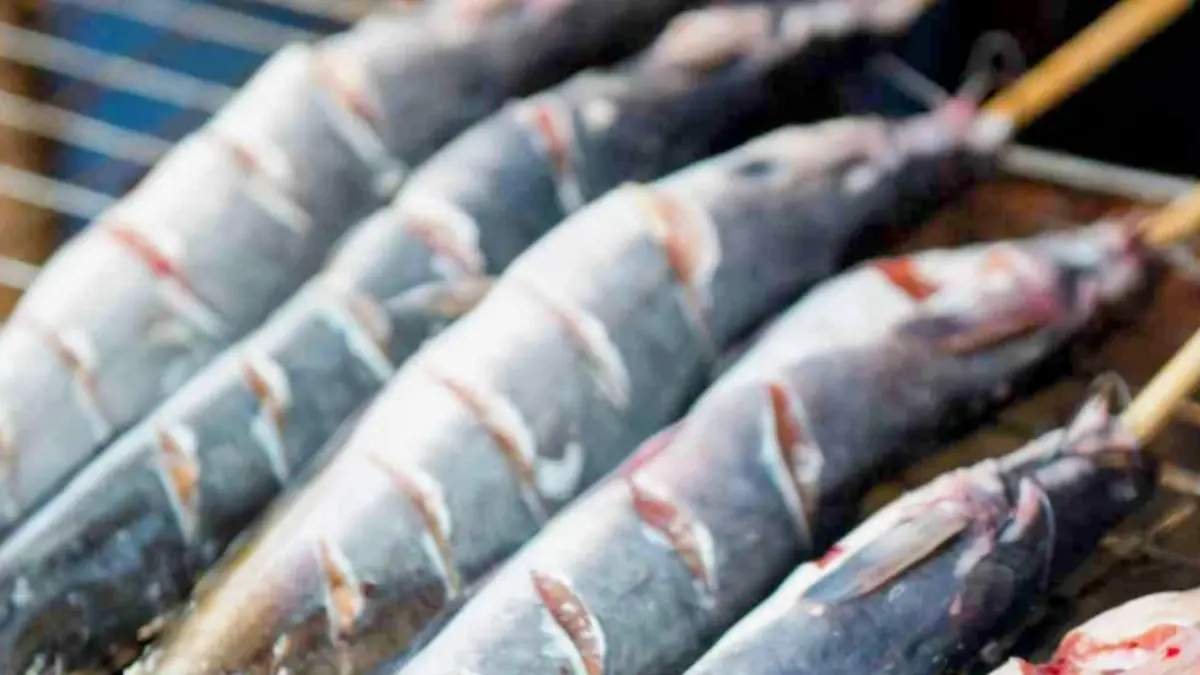 Ikan Lele yang dimasak dengan dipanggang, juga banyak digemari.(istimewa)