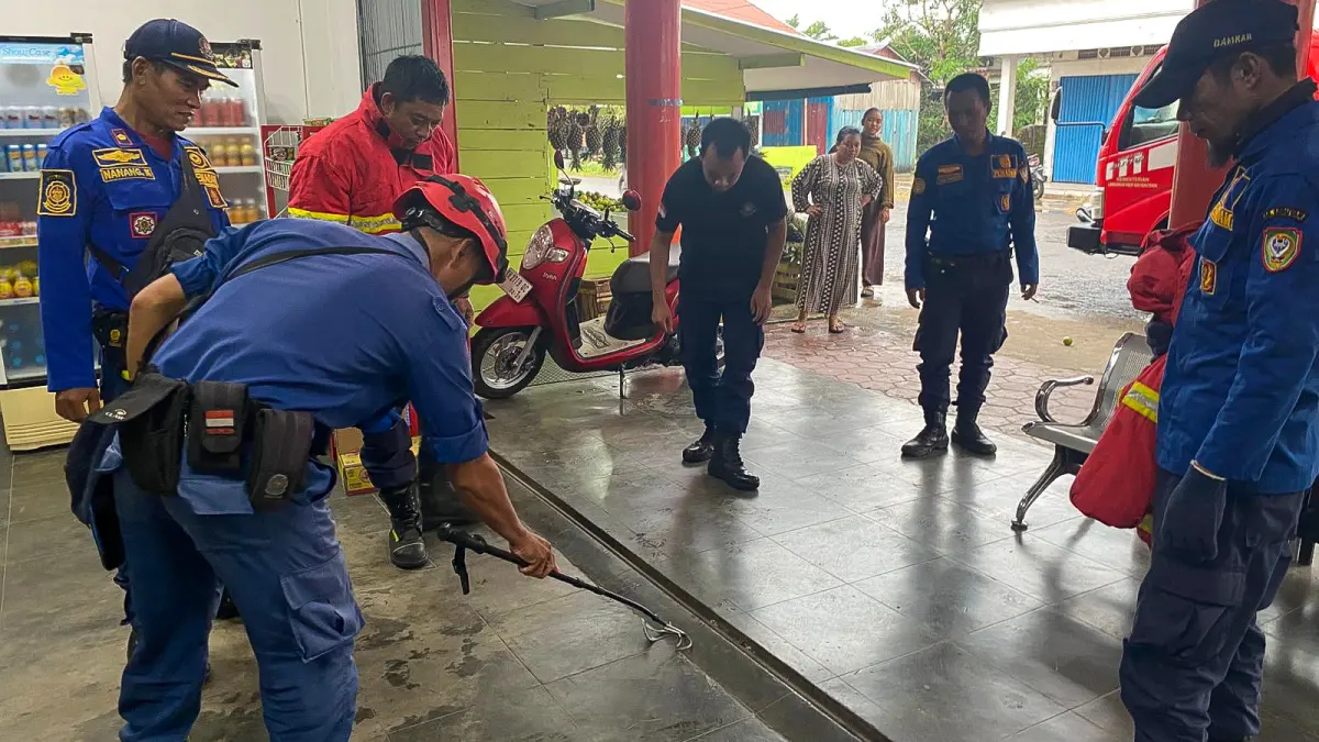 Dinas Pemadam Kebakaran dan Penyelamatan Kabupaten Seruyan saat mengevakuasi anak king kobra. (Damkar/Radar Sampit)