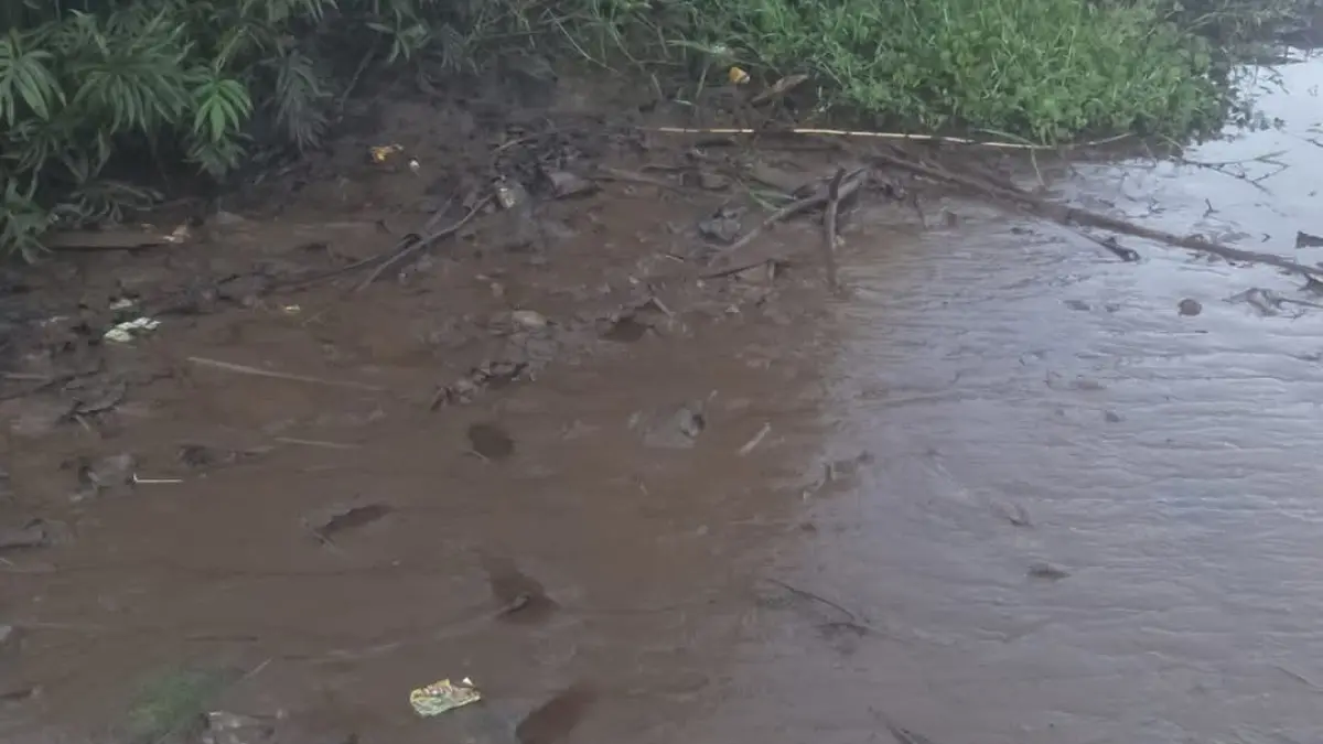 Jejak pelaku yang meracuni udang di tepian SUNGAI Mentaya, sekitar wilayah Mentaya Seberang, Kecamatan Seranau, Kabupaten Kotawaringin Timur. (Warga/Radar Sampit)&nbsp;