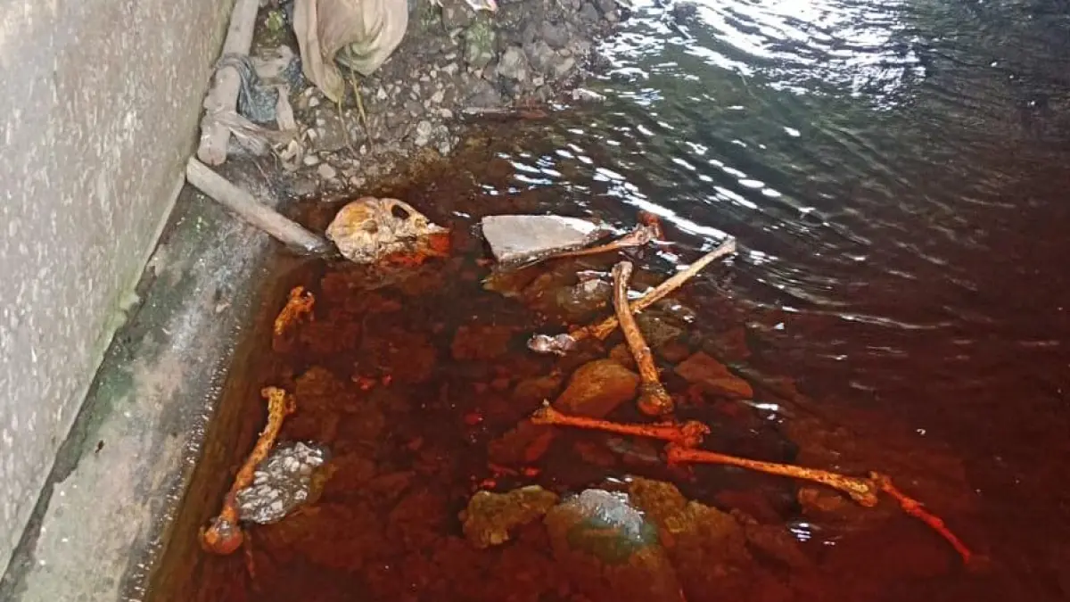 Penemuan diduga kerangka manusia di bawah Jembatan di Jalan Bumi Raya I, Kelurahan Baamang Barat, Kecamatan Baamang, Senin (8/6/2026). (Warga/Radar Sampit)&nbsp;