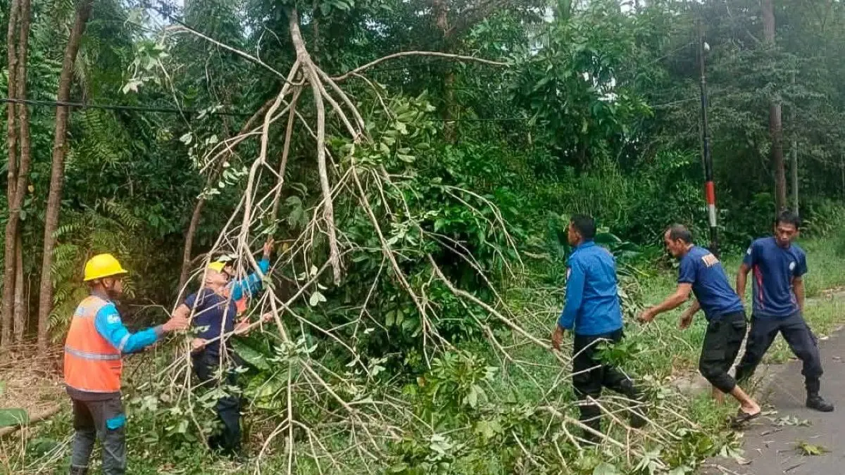 TEBANG: Petugas menebang pohon yang berpotensi bahayakan pengguna jalan dan jaringan Listrik di Jalan Mahang, Persil Raya, Seruyan Hulu. FOTO: RIFANI/RADAR SAMPIT