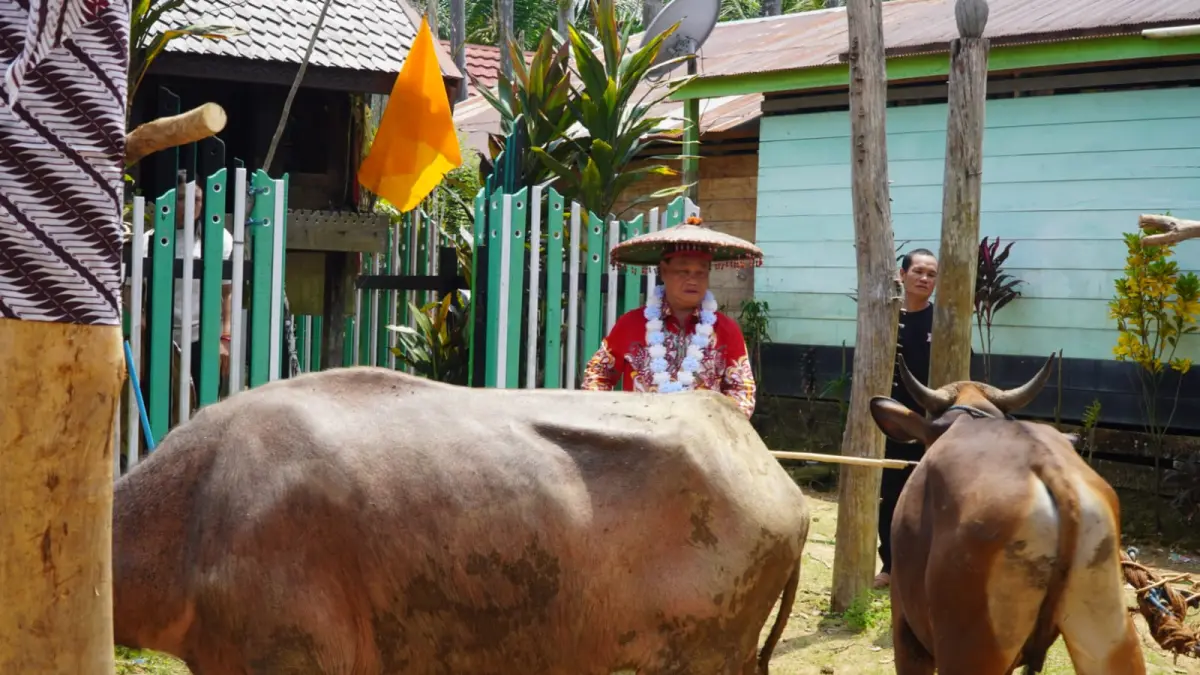 Bupati Kotim, Halikinnor, saat mengikuti ritual Tiwah yang dilaksanakan di salah satu kecamatan di Kotim, belum lama ini.  (Kominfo Kotim)