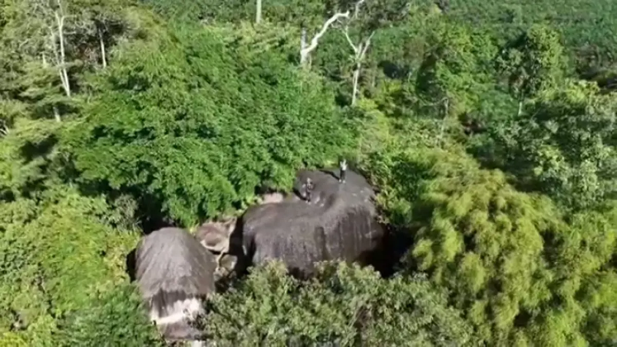 Salah satu objek destinasi wisata Bukit Jorong Rayo di Desa Jihing Kecamatan Permata Kecubung, Kabupaten Sukamara.(istimewa)