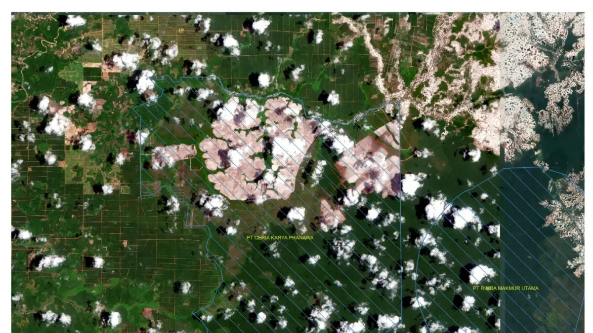 Gambar citra satelit pada area konsesi PT Ceria Karya Pranawa. (Foto: Save Our Borneo) 