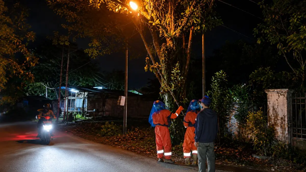 PENANGANAN : Tim Rescue BPK Kamboja mengevakuasi sarang tawon vespa berukuran besar dari ranting pohon mahoni tepi Jalan Yos Sudarso III, Palangka Raya, Kamis (11/6/2026) malam. FOTO: IST/RADAR SAMPIT