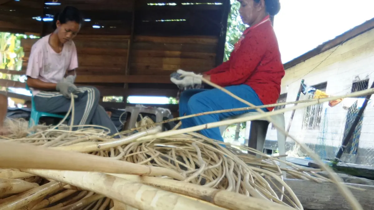 Aktivitas warga pekerja sektor  rotan, yang menjadi salah satu komoditas penopang penghasilan warga pedalaman di Kotim.(dok/radarsampit)