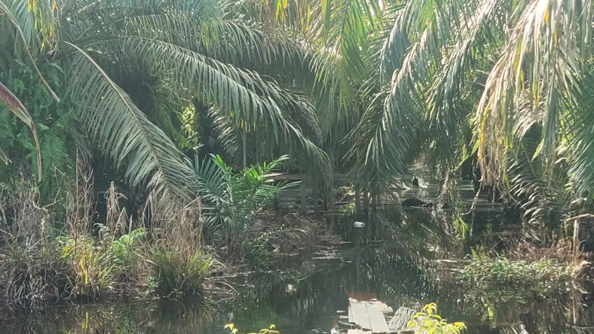 Banjir di Rubung Buyung