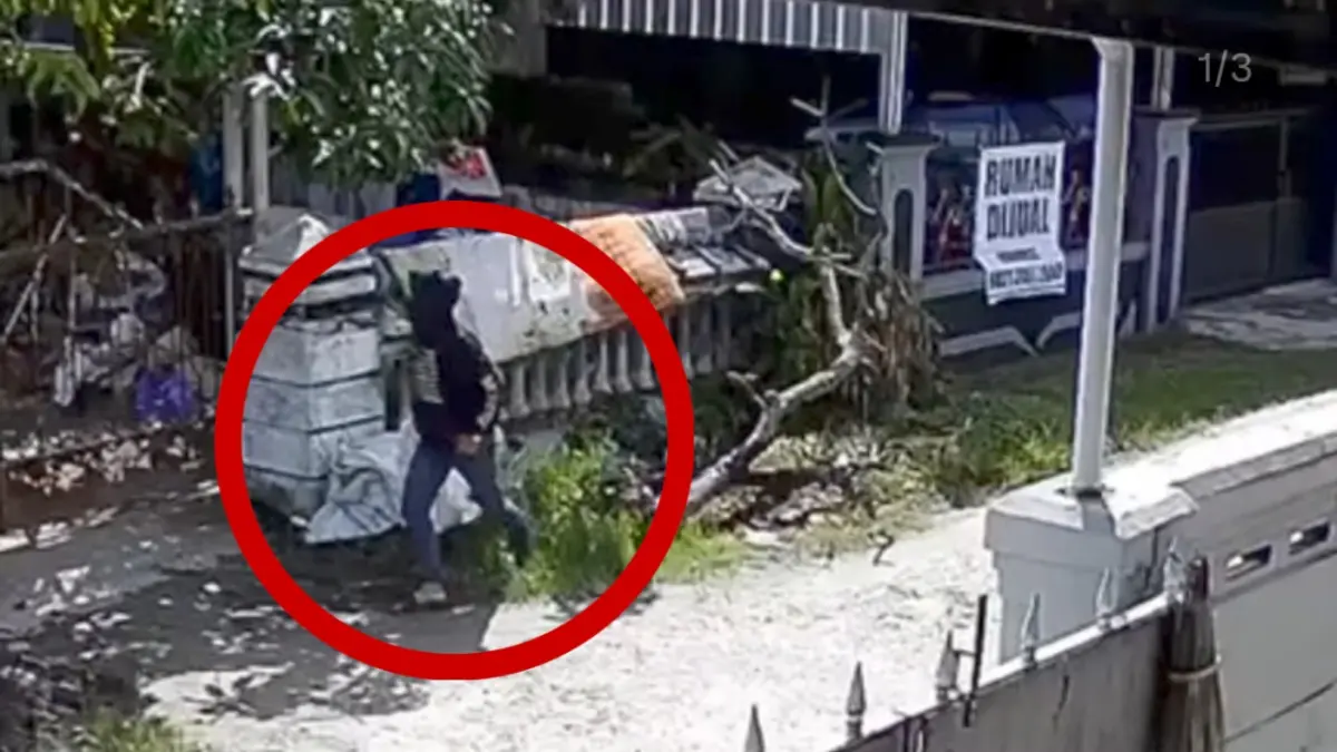 Pelaku pencurian mangga di Jalan Kopi, Kecamatan Mentawa Baru Ketapang, kepergok warga bahkan diteriaki, tapi malah tetap melanjutkan aksinya. (Warga/Radar Sampit)&nbsp;