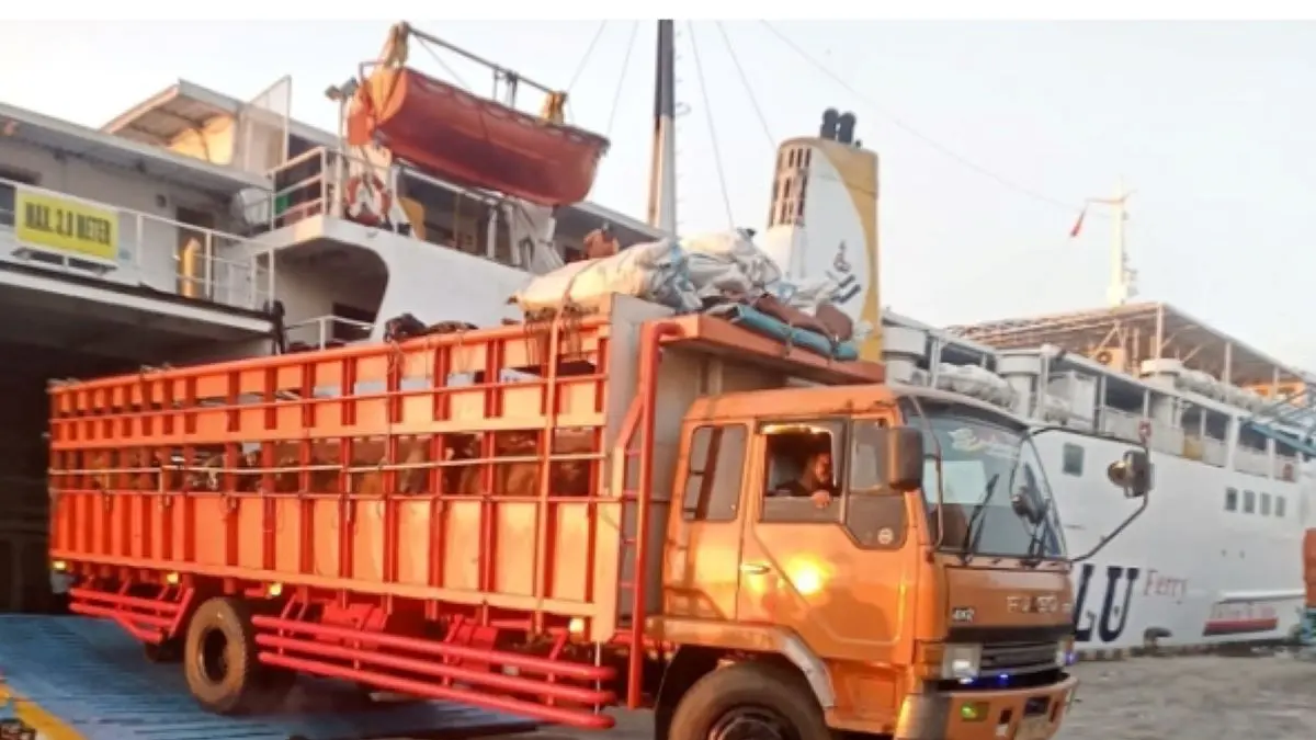 PENGAWASAN TERNAK: Truk pengangkut hewan turun dari kapal di Pelabuhan Panglima Utar, Kecamatan Kumai, Kobar, Senin (15/2/2026). FOTO: DISTAN KOBAR/RADAR SAMPIT 