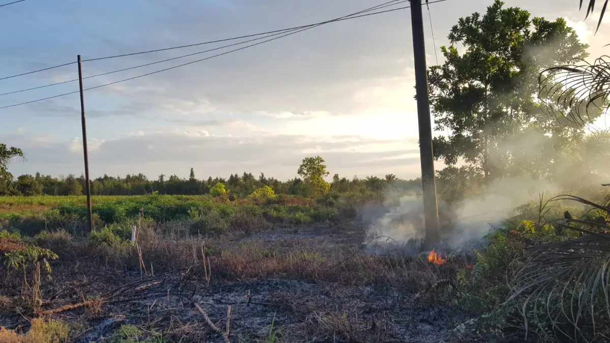 Api membakar lahan kosong di kawasan Jalan Soekarno atau Jalan Lingkar Utara Sampit, Senin (15!6/2026). (Disdamkarmat Kotim/Radar Sampit)&nbsp;