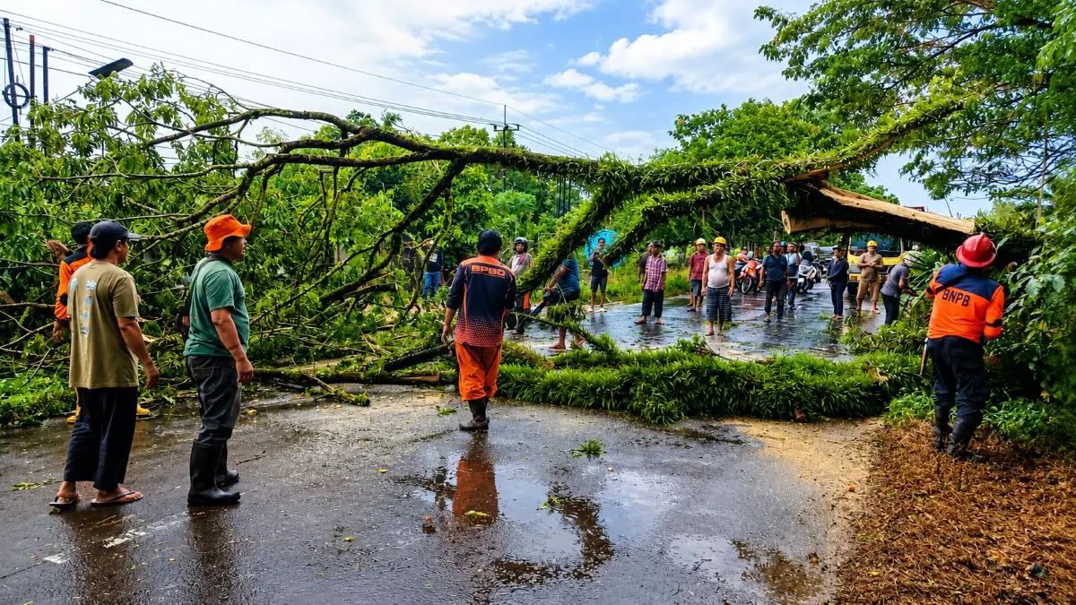 POHON TUMBANG: Pohon Trembesi dievakuasi personel TRC BPBD dan masyarakat Desa Natai Raya, Kecamatan Arsel, Kabupaten Kotawaringin Barat (Kobar), belum lama ini. FOTO: IST/RADAR SAMPIT 