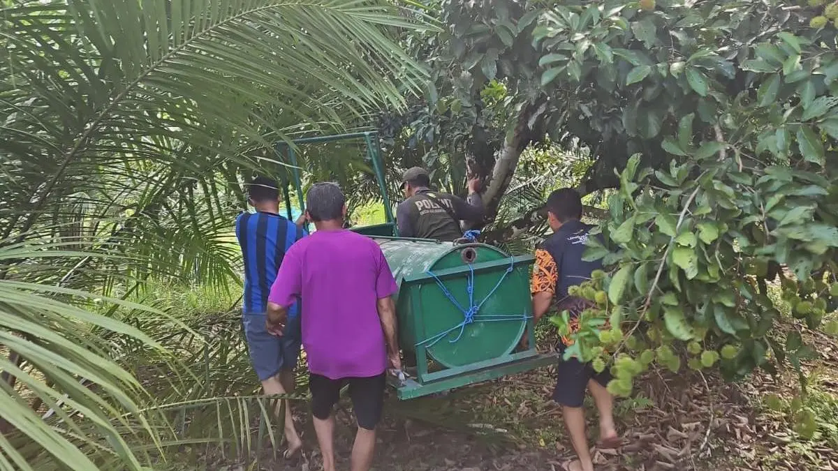 Petugas BKSDA dibantu warga saat mengangkat perangkap yang akan dipasang di lokasi kemunculan beruang di Desa Sungai Paring, Kecamatan Cempaga, Kabupaten Kotawaringin, belum lama ini. (Warga/Radar Sampit)&nbsp;