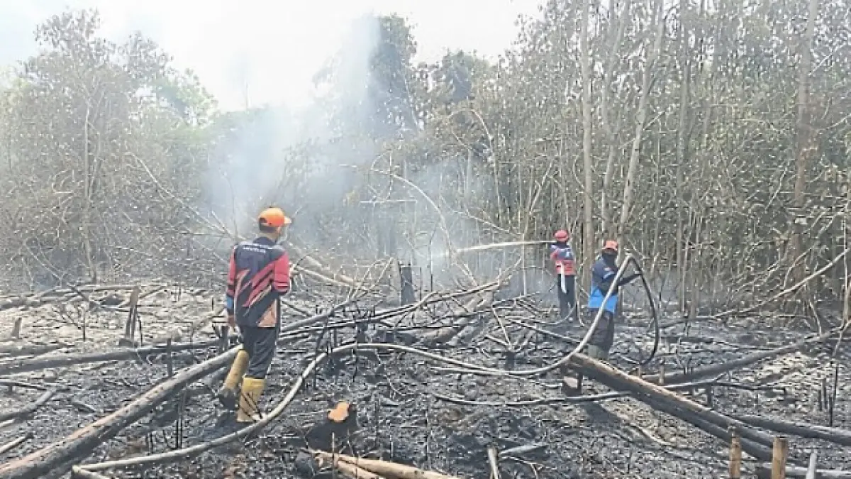 Kebakaran lahan yang mulai terjadi di salah satu wilayah Kabupaten Kotawaringin Timur (Kotim) menjadi peringatan dini menjelang puncak musim kemarau tahun ini. (Istimewa/Radar Sampit)&nbsp;