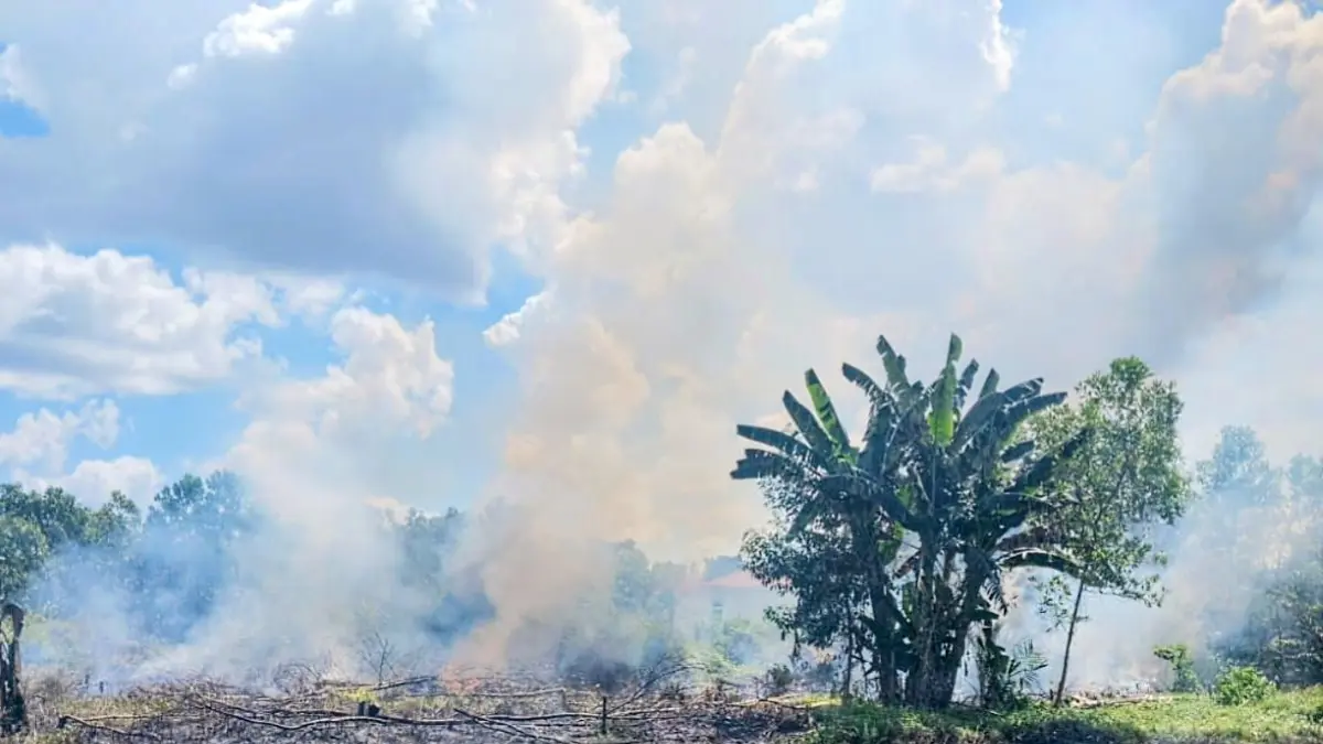 Kebakaran lahan yang berada dekat dengan lokasi permukiman warga di Jalan Tidar Raya, Kelurahan Baamang Hilir, Kecamatan Baamang, Senin (22/6/2026). (TRC BPBD Kotim)&nbsp;