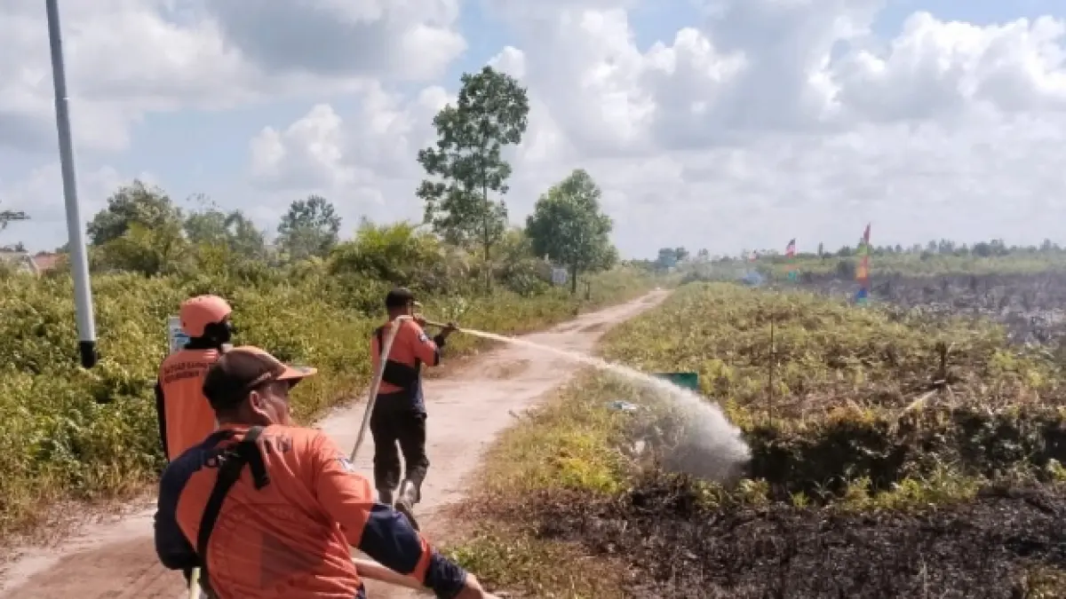 Kebakaran lahan di Kecamatan Baamang, Kabupaten Kotawaringin Timur, Jumat (26/6 /2026). (BPBD Kotim)&nbsp;
