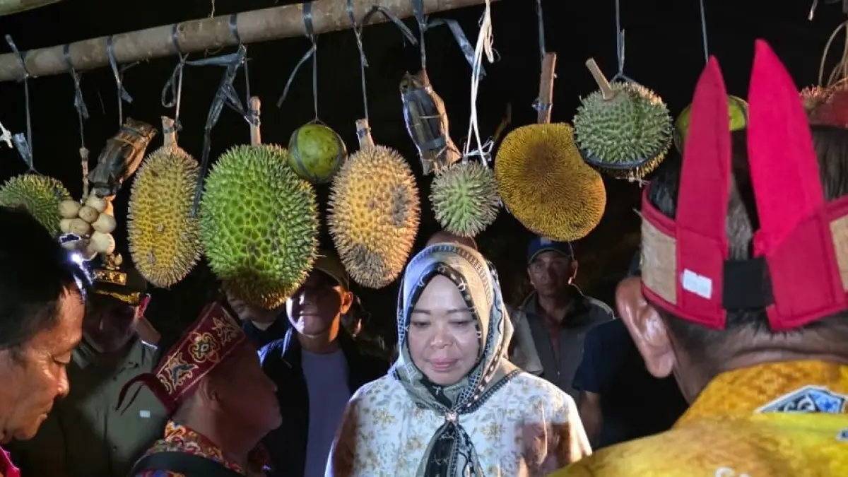 Bupati Kotawaringin Barat Hj Nurhidayah melihat beragam durian lokal baru baru ini. 