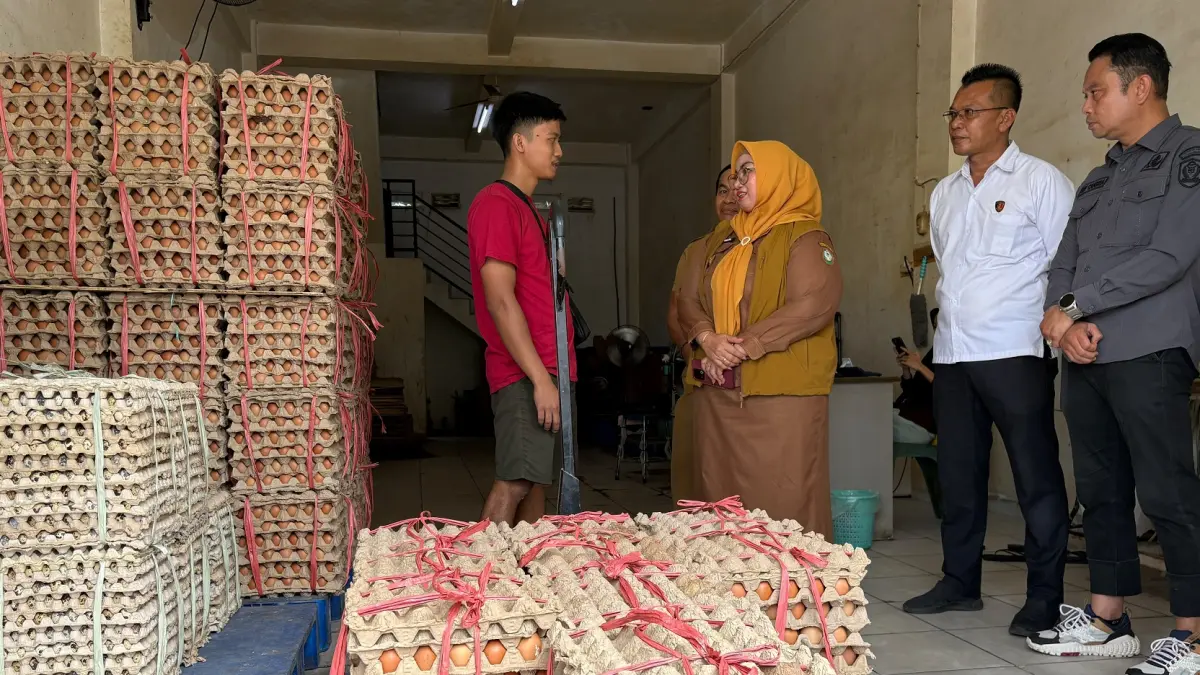 Wabup Kotim Irawati dan tim gabungan Pemkab Kotim saat inspeksi di salah satu agen telur di Kota Sampit, Senin (29/6).(yuni/radarsampit)