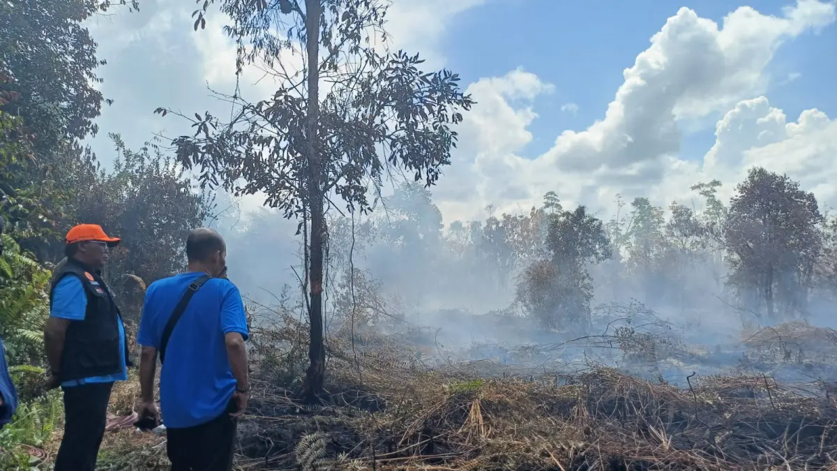 Kebakaran di area Bandara H Asan Sampit, Jumat (3/7/2026). Pihak bandara memastikan sementara ini adanya peristiwa ini belum mengganggu aktivitas penerbangan pesawat. (BPBD Kotim)&nbsp;