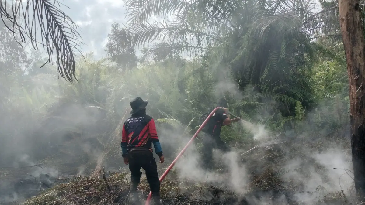 Kebakaran hutan dan lahan (karhutla) di kawasan Baamang Hulu, Kecamatan Baamang, Kabupaten Kotawaringin Timur (Kotim), masih berlangsung hingga Jumat (3/7/2026).